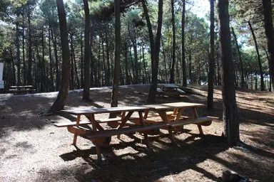 Sofular Mesire Alanı — Recreation Area, Şile, İstanbul