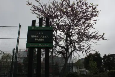 Ari̇f Ni̇hat Asya Parki — Park, Ümraniye, İstanbul