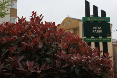 Asya Parki — Park, Ümraniye, İstanbul