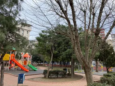 Kahraman Bapcum Parkı — Park, Bahçelievler, İstanbul